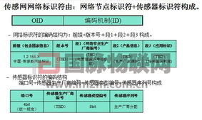 探寻物联网的中国道路——2010国际物联网峰会回顾与展望